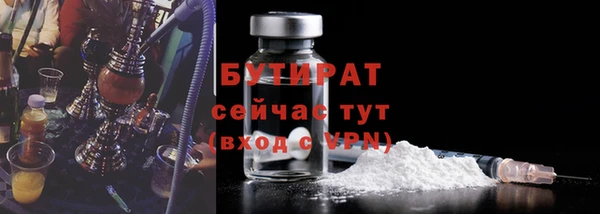 индика Коряжма