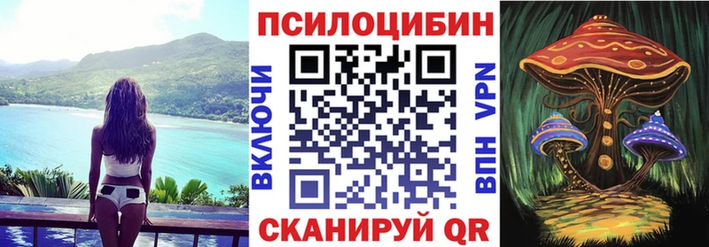 мориарти клад  OMG   Бирюч  Галлюциногенные грибы Magic Shrooms 